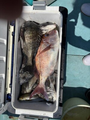 IMG_6077.jpeg