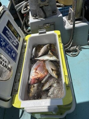 IMG_6120.jpeg