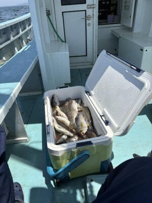 IMG_6121.jpeg