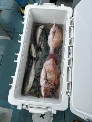IMG_6156.jpeg
