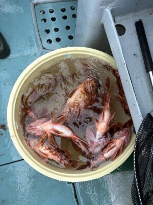 IMG_6440.jpeg