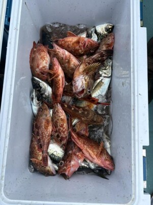 IMG_6445.jpeg