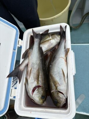 IMG_6724.jpeg