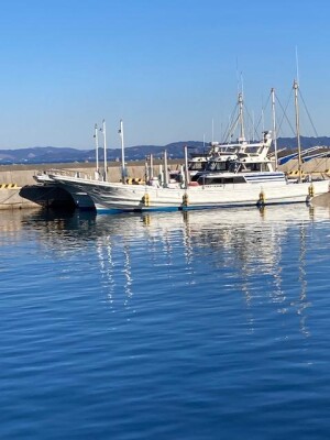 IMG_4019.jpeg